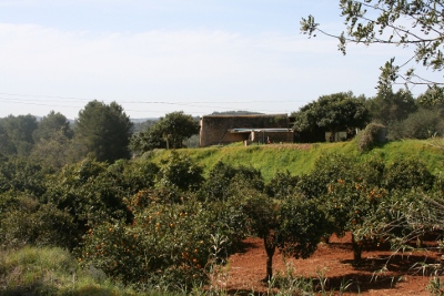 Landschaft im Inneren der Insel Ibiza
