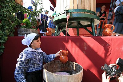 Weinlesefest Weinlesefest